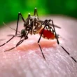 Dengue Test Costs in Mumbai and Hyderabad