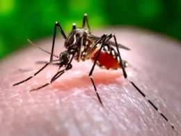 Dengue Test Costs in Mumbai and Hyderabad